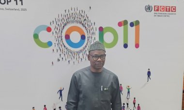 COP 11: Minister Celebrates Nigeria’s Progress at Tobacco Global Meet
