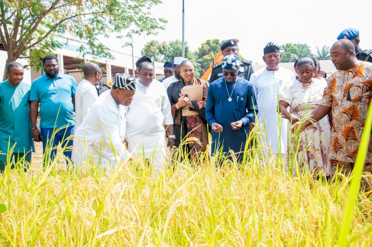 Gov Alia inspects tractors assembly plant, assures full agricultural mechanization.